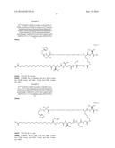 Stable GLP-1 Based GLP-1/Glucagon Receptor Co-Agonists diagram and image