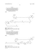 Stable GLP-1 Based GLP-1/Glucagon Receptor Co-Agonists diagram and image