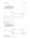 Stable GLP-1 Based GLP-1/Glucagon Receptor Co-Agonists diagram and image