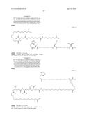 Stable GLP-1 Based GLP-1/Glucagon Receptor Co-Agonists diagram and image