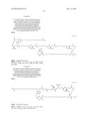 Stable GLP-1 Based GLP-1/Glucagon Receptor Co-Agonists diagram and image