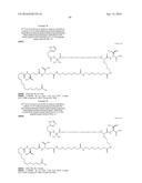 Stable GLP-1 Based GLP-1/Glucagon Receptor Co-Agonists diagram and image