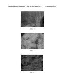 EFFICIENT POLYMER COMPOSITES BASED ON NATURAL WOOL diagram and image