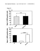 INFECTIOUS HEPATITIS E VIRUS GENOTYPE 3 RECOMBINANTS diagram and image