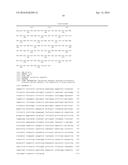 N-TERMINALLY TRUNCATED GLYCOSYLTRANSFERASES diagram and image