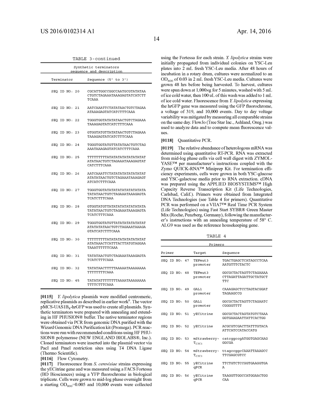 EXOGENOUS TERMINATORS FOR CONTROLLING FUNGAL GENE EXPRESSION - diagram, schematic, and image 21