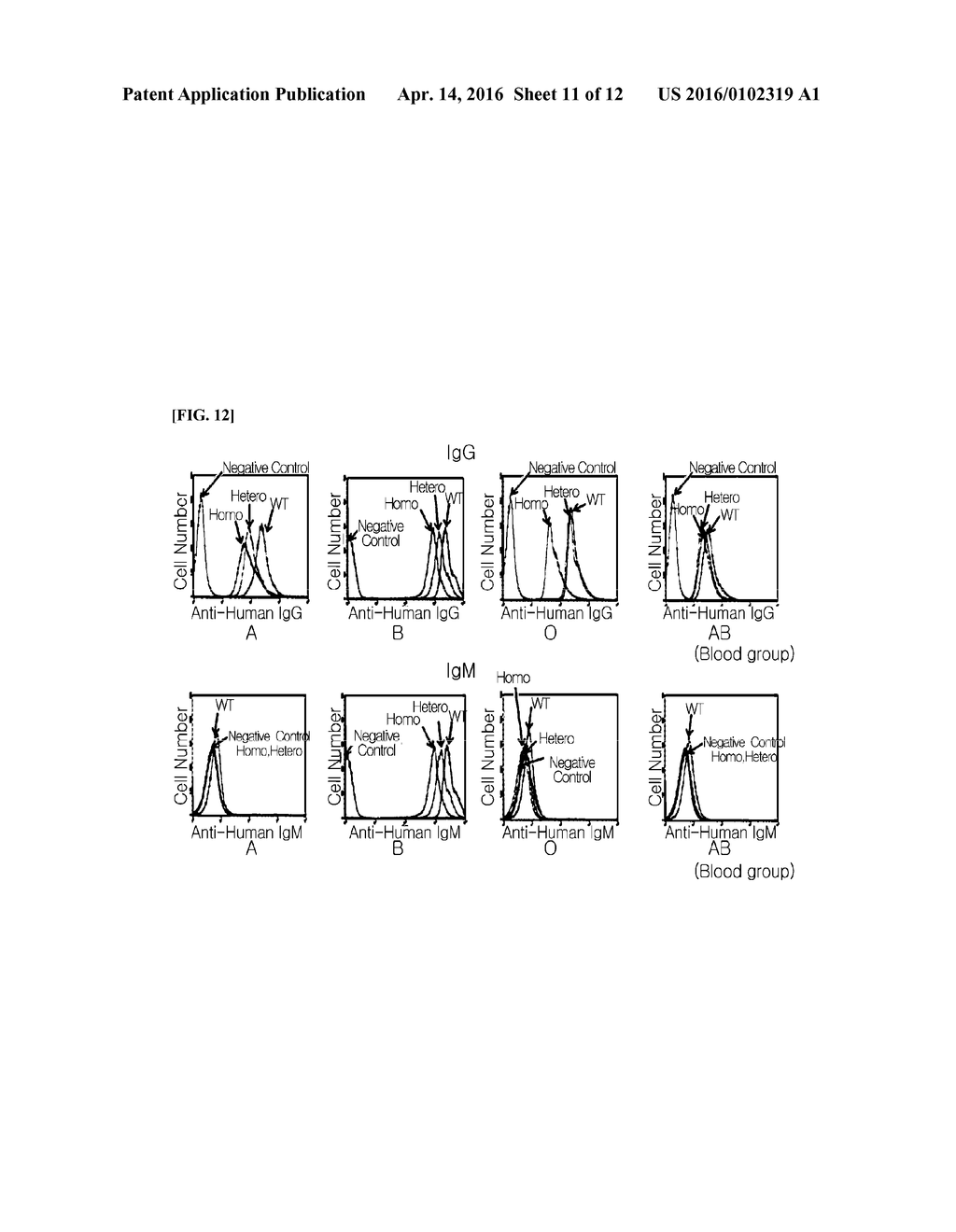 CMP-ACETYLNEURAMINIC ACID HYDROXYLASE TARGETING VECTOR, TRANSGENIC ANIMAL     FOR XENOTRANSPLANTATION INTRODUCED WITH THE VECTOR, AND METHOD OF     MANUFACTURING THE SAME - diagram, schematic, and image 12