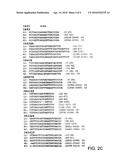 BIOLOGICAL INDICATOR diagram and image