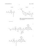 FLUORESCENT PROBE FOR DETECTING ACTIVITY OF CALPAIN diagram and image