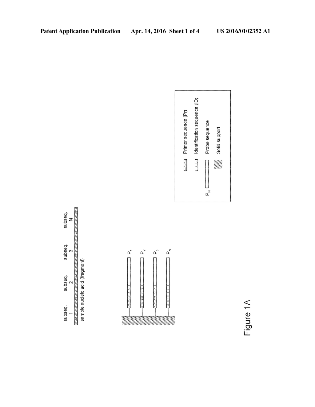 COMPOSITIONS CONTAINING IDENTIFIER SEQUENCES ON SOLID SUPPORTS FOR NUCLEIC     ACID SEQUENCE ANALYSIS - diagram, schematic, and image 02