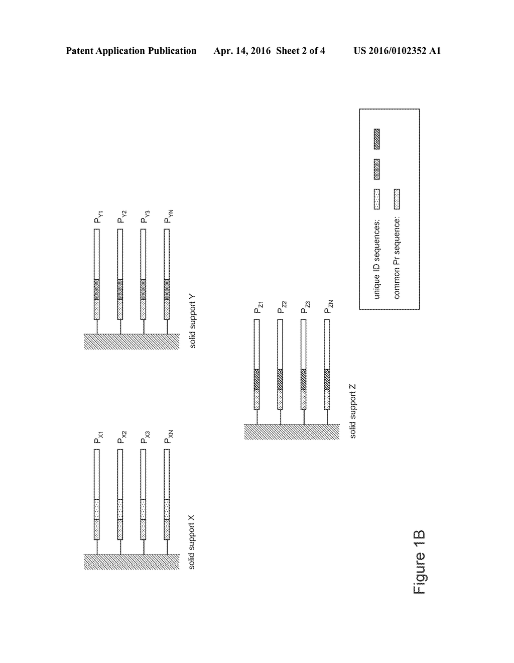 COMPOSITIONS CONTAINING IDENTIFIER SEQUENCES ON SOLID SUPPORTS FOR NUCLEIC     ACID SEQUENCE ANALYSIS - diagram, schematic, and image 03