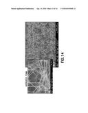 Blood Sample Management Using Open Cell Foam diagram and image