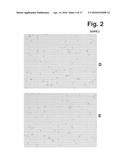 IMAGE FORMING CYTOMETER diagram and image