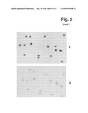 IMAGE FORMING CYTOMETER diagram and image