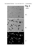 IMAGE FORMING CYTOMETER diagram and image