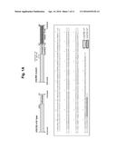 CONSTRUCTION OF MITOCHONDRIAL UQCRB MUTANT EXPRESSING CELLS AND     UTILIZATION OF THE CELLS FOR UQCRB ASSAY SYSTEM THEREOF diagram and image