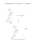 COMPOSITIONS AND METHODS FOR DETECTING VITAMIN D diagram and image