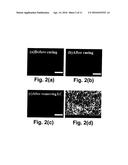 FAST ELECTROOPTIC SWITCHING DEVICES EMPLOYING POLYMER TEMPLATE SHAPED BY     BLUE PHASE LIQUID CRYSTAL diagram and image