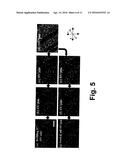 FAST ELECTROOPTIC SWITCHING DEVICES EMPLOYING POLYMER TEMPLATE SHAPED BY     BLUE PHASE LIQUID CRYSTAL diagram and image