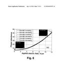 FAST ELECTROOPTIC SWITCHING DEVICES EMPLOYING POLYMER TEMPLATE SHAPED BY     BLUE PHASE LIQUID CRYSTAL diagram and image