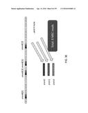 COALESCING ADJACENT GATHER/SCATTER OPERATIONS diagram and image