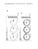 VISUAL DATA ANALYSIS WITH ANIMATED INFORMATIONAL MORPHING REPLAY diagram and image