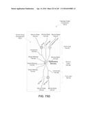 AUTOMATIC ENTITY DEFINITIONS diagram and image