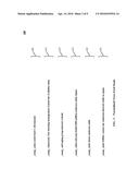 SYSTEMS AND METHODS OF DE-DUPLICATING SIMILAR NEWS FEED ITEMS diagram and image