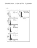 IRON OXIDE MAGNETIC NANOPARTICLE POWDER AND METHOD OF PRODUCING THE SAME,     IRON OXIDE MAGNETIC NANOPARTICLE THIN FILM CONTAINING THE IRON OXIDE     MAGNETIC NANOPARTICLE POWDER AND METHOD OF PRODUCING THE SAME diagram and image