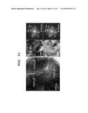 METHOD FOR MANUFACTURING PERMANENT MAGNET diagram and image