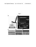 METHOD OF FABRICATING ZINC OXIDE NANOSTRUCTURES USING LIQUID MASKING LAYER diagram and image