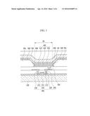 ORGANIC LIGHT EMITTING DIODE DISPLAY diagram and image