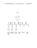 PNEUMATIC TOURNIQUET diagram and image