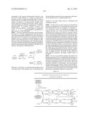 PNEUMATIC TOURNIQUET diagram and image