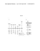 PNEUMATIC TOURNIQUET diagram and image