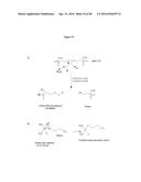 PNEUMATIC TOURNIQUET diagram and image