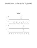 PNEUMATIC TOURNIQUET diagram and image