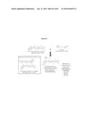 PNEUMATIC TOURNIQUET diagram and image