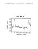 POROUS NANOPARTICLE-SUPPORTED LIPID BILAYERS (PROTOCELLS) FOR TARGETED     DELIVERY AND METHODS OF USING SAME diagram and image