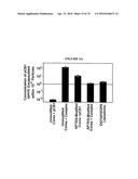 POROUS NANOPARTICLE-SUPPORTED LIPID BILAYERS (PROTOCELLS) FOR TARGETED     DELIVERY AND METHODS OF USING SAME diagram and image