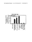 POROUS NANOPARTICLE-SUPPORTED LIPID BILAYERS (PROTOCELLS) FOR TARGETED     DELIVERY AND METHODS OF USING SAME diagram and image