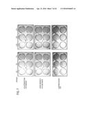 USE OF X-RAY CONTRAST MEDIA AND RELATED COMPOSITIONS FOR THE TREATMENT AND     PREVENTION OF A FILOVIRUS INFECTION diagram and image