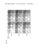 USE OF X-RAY CONTRAST MEDIA AND RELATED COMPOSITIONS FOR THE TREATMENT AND     PREVENTION OF A FILOVIRUS INFECTION diagram and image