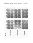 USE OF X-RAY CONTRAST MEDIA AND RELATED COMPOSITIONS FOR THE TREATMENT AND     PREVENTION OF A FILOVIRUS INFECTION diagram and image