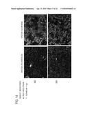 USE OF X-RAY CONTRAST MEDIA AND RELATED COMPOSITIONS FOR THE TREATMENT AND     PREVENTION OF A FILOVIRUS INFECTION diagram and image