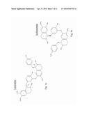 Group of Alkaloids, the Novel Autophagic Enhancers for Treatment of     Cancers and Neurodegenerative Conditions Thereof diagram and image