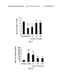 COMPOUNDS AND METHODS FOR ENHANCING ERYTHROPOIESIS diagram and image