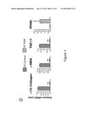 EPIGENETIC MECHANISMS OF ANTI-FIBROTIC ACTION FOR THE LIVER diagram and image