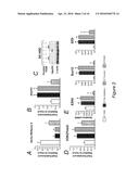 EPIGENETIC MECHANISMS OF ANTI-FIBROTIC ACTION FOR THE LIVER diagram and image