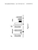 EPIGENETIC MECHANISMS OF ANTI-FIBROTIC ACTION FOR THE LIVER diagram and image